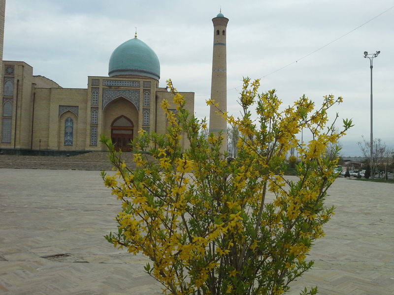 Reise nach Usbekistan 3. April — 14. April 2014 2014 04 04 11.37.39