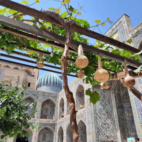 Reise nach Usbekistan 17. April - 27. April 2023 342750373 784391839929396 1948460751491675761 n